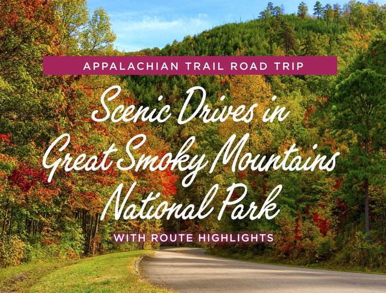 Scenic Drives in Great Smoky Mountains National Park