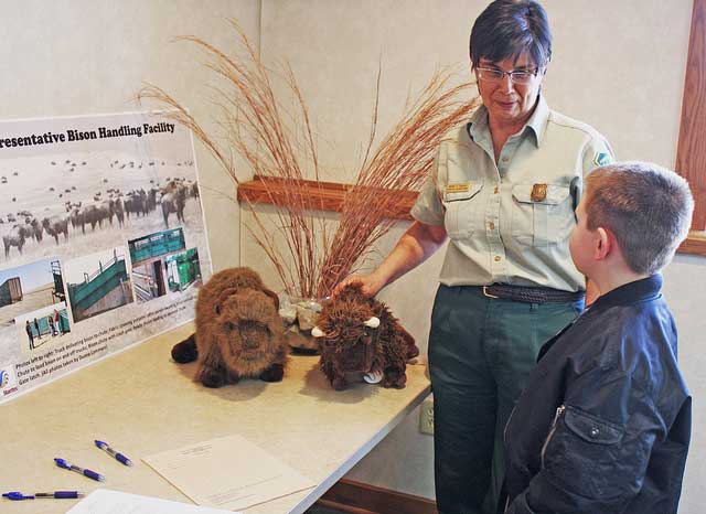 Renee Thakali of the Restoration team talks to a child about bison on the land.