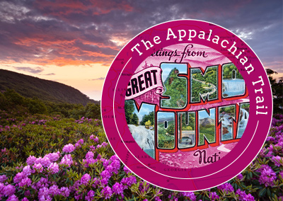 bright pink-hued flowers on a mountainside with overlaid text reading the Appalachian Trail Road Trip