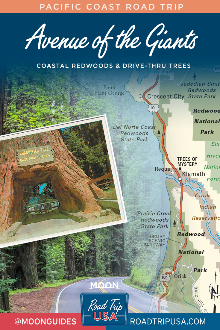 Avenue of the Giants Drive-Thru Trees pin