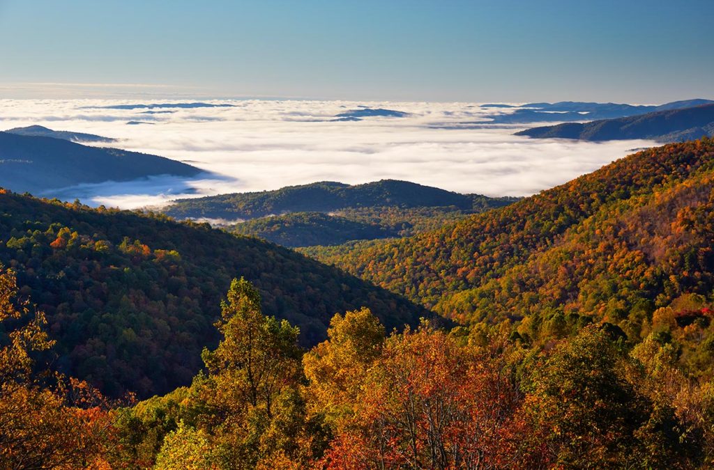 Cloudlike fog amongst the mountains of Shenandoah National Park.