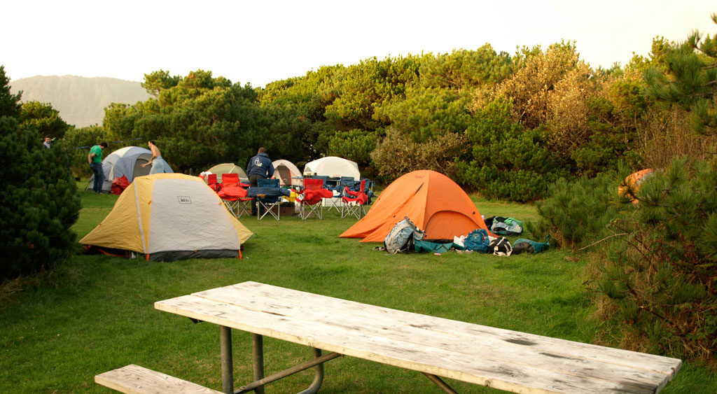 Tents set up in a flat, grassy campsite at Nehalem Bay State Park.
