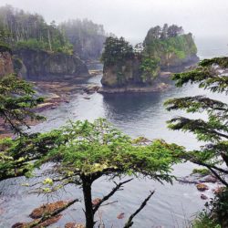 Driving to Cape Flattery on the Olympic Peninsula - ROAD TRIP USA