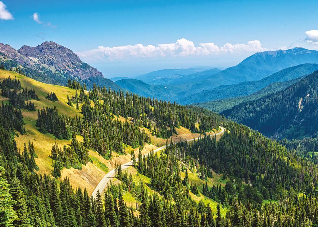 A two-lane road winds through the mountainous Hurricane Ridge in Washington's Olympic National Park.