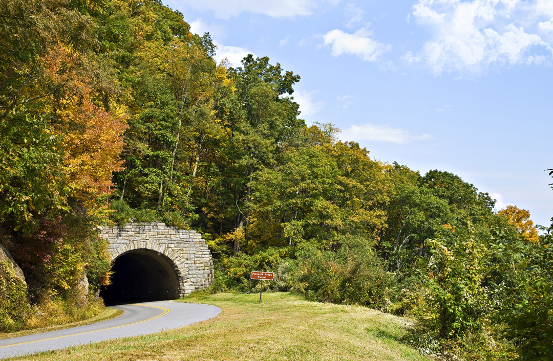 Picture of Balsam Mountain Road surrounded by trees and driving through a tunnel
