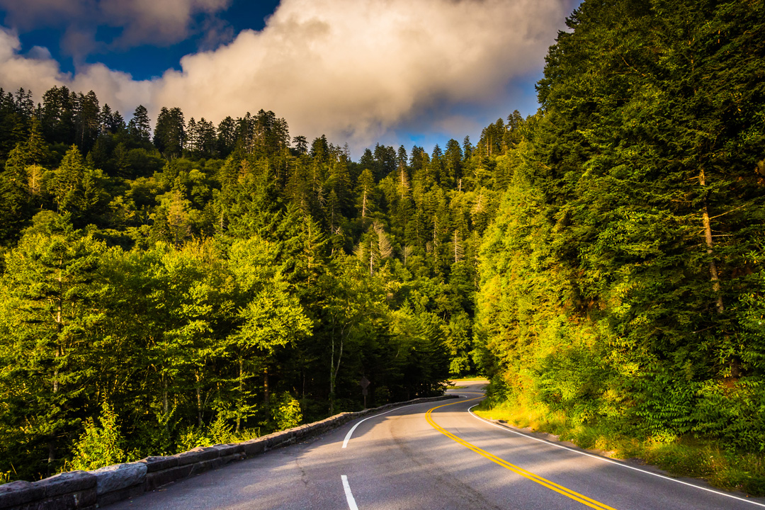 Photo of Newfound Gap Road with trees and blue skies 