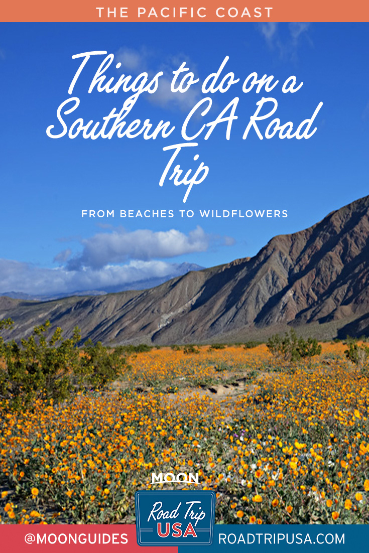 Pin Graphic with overlaid text reading things to do on a southern CA road trip with a background picture of wildflowers.