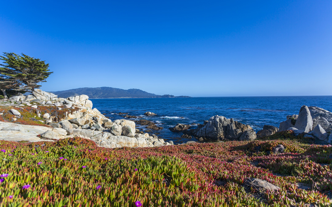 Carmel beach with clear blue sky and water