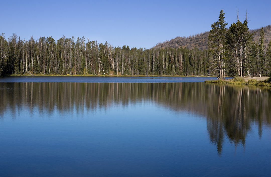 trees reflected in the clear blue water of Sylvan Lake