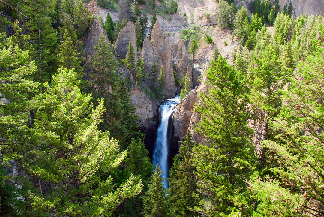 Tower Fall waterfall surrounded by forest