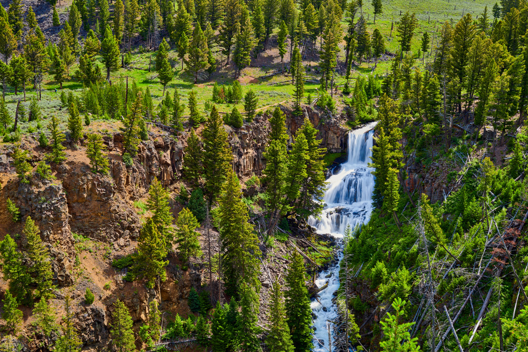 Undine Falls surrounded by forest in yellowstone