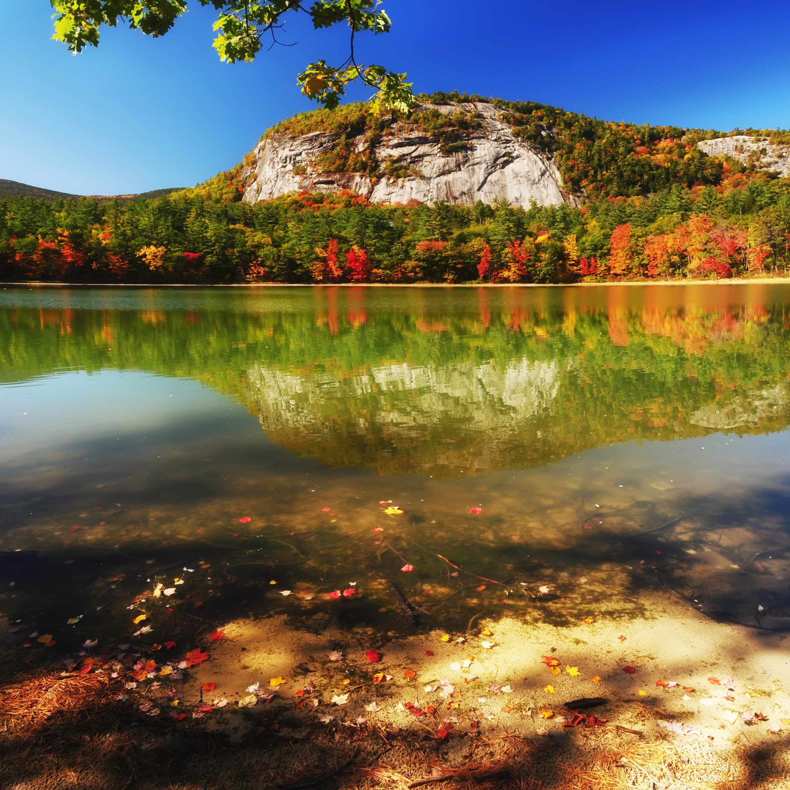 calm water during fall in Acadia National Park