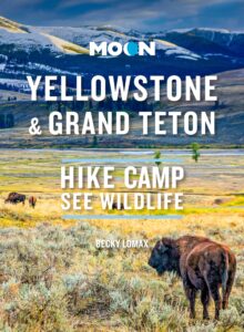 Image of book jacket featuring a bison in a yellow field with blue mountains in background