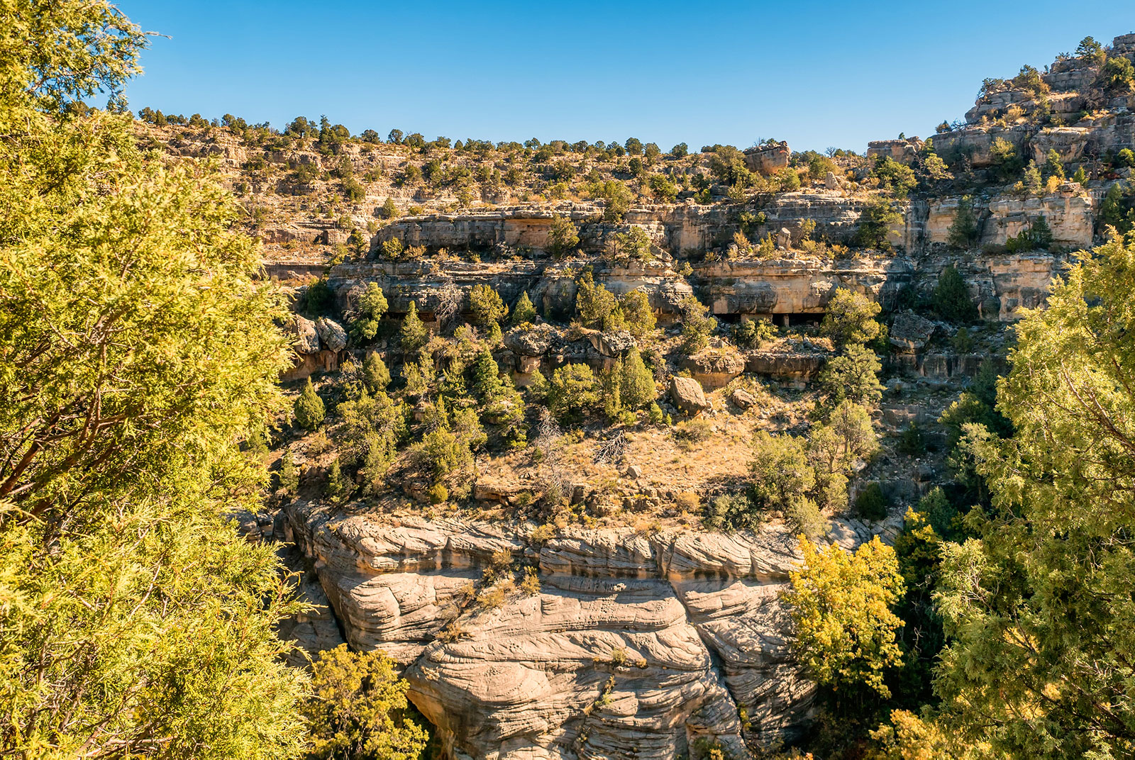 View across to the cliff dwellings at Walnut Canyon National Monument