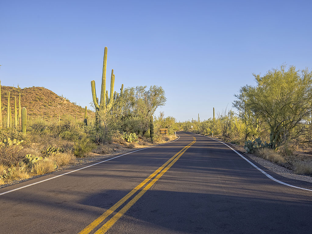 road through desert landscape with brush and cactus