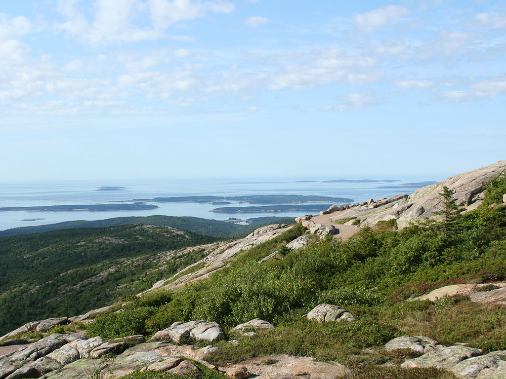 green ground cover on a mountaintop with a view of the water in maine