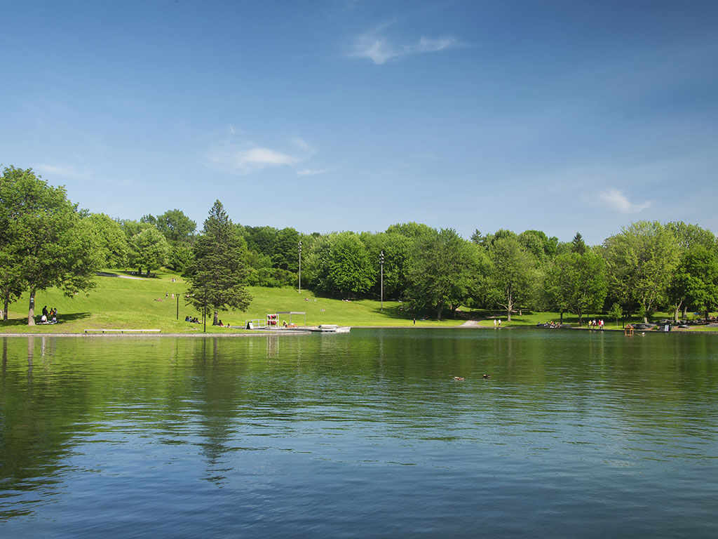 sunny day over a lake in mount royal park