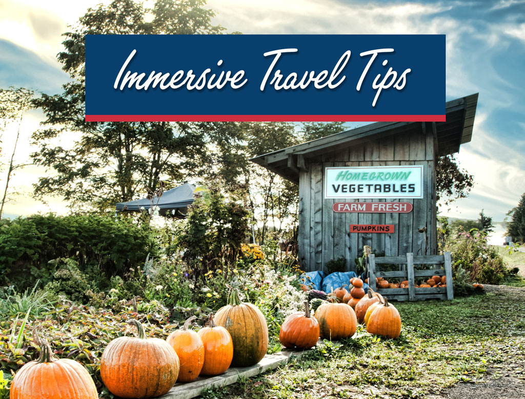 pumpkin farm with text overlaid reading immersive travel tips