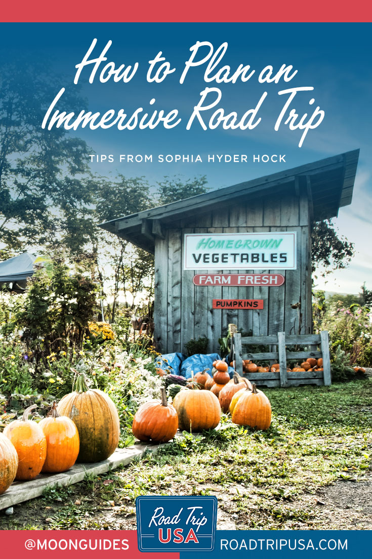 travel deeper tips for immersive road trip pinterest graphic