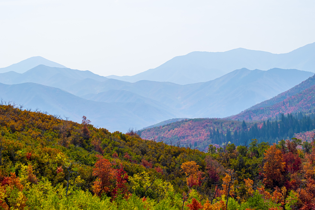 Photo of the mountains with fall foliage on Alpine Loop in Utah.