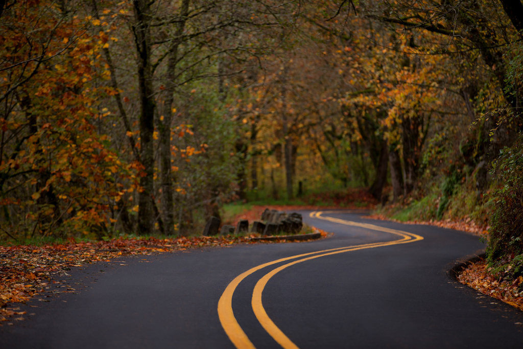 View of a winding road with fall trees on the Historic Columbia River Highway.