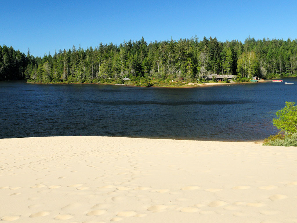 sandy beach with lake and forest in the distance